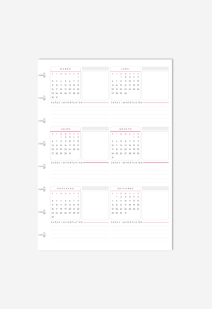 Miolo - Overview Anual