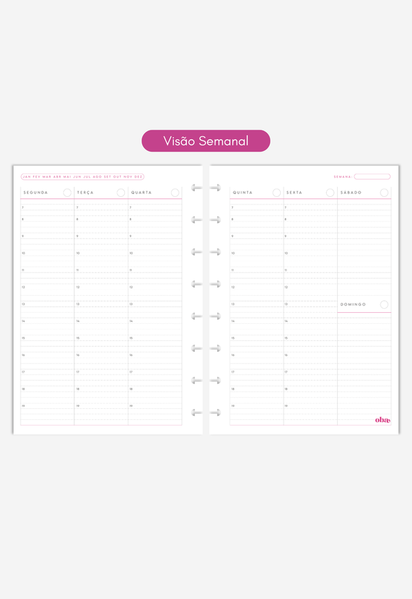 Miolo - Refil de Planner (6 MESES)