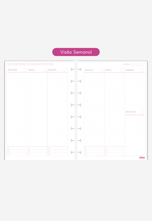 Miolo - Refil de Planner (6 MESES)