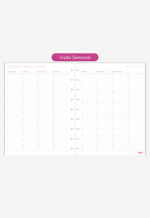 Miolo - Refil de Planner (6 MESES)
