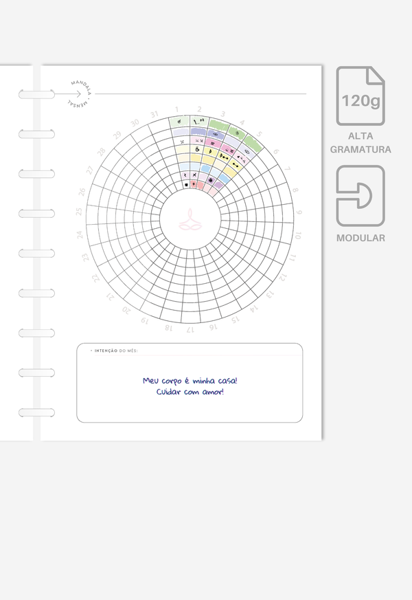 Miolo - Wellness Planner (6 meses)