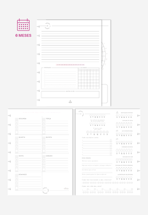 Miolo - Wellness Planner (6 meses)