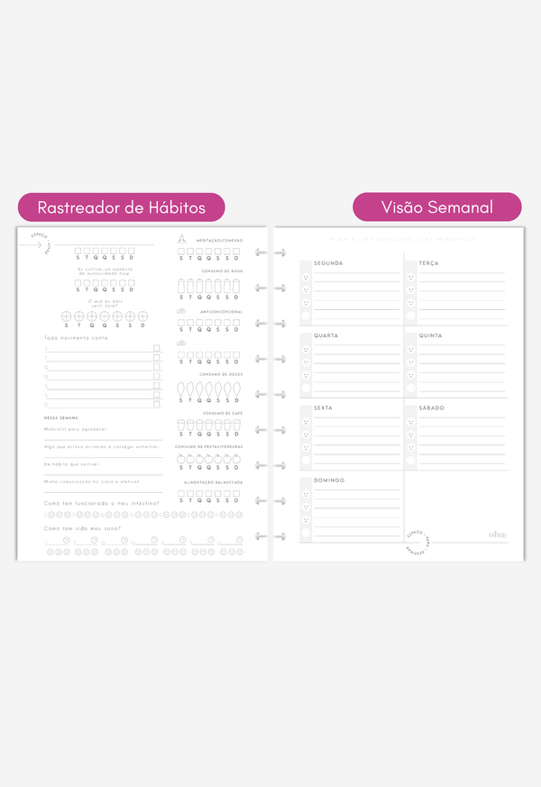 Miolo - Wellness Planner (6 meses)