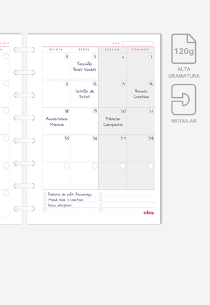 Miolo - Refil de Planner (6 MESES)