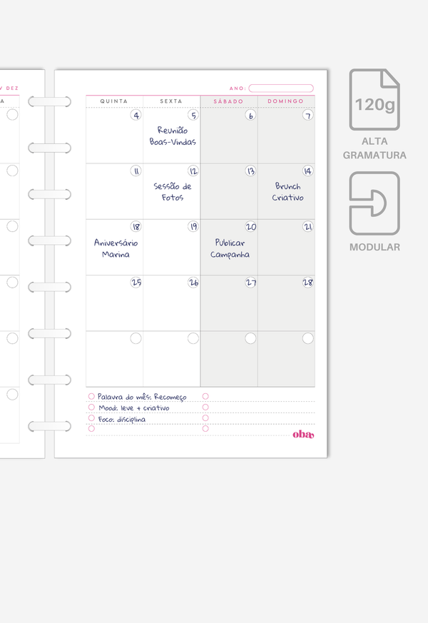 Miolo - Refil de Planner (6 MESES)