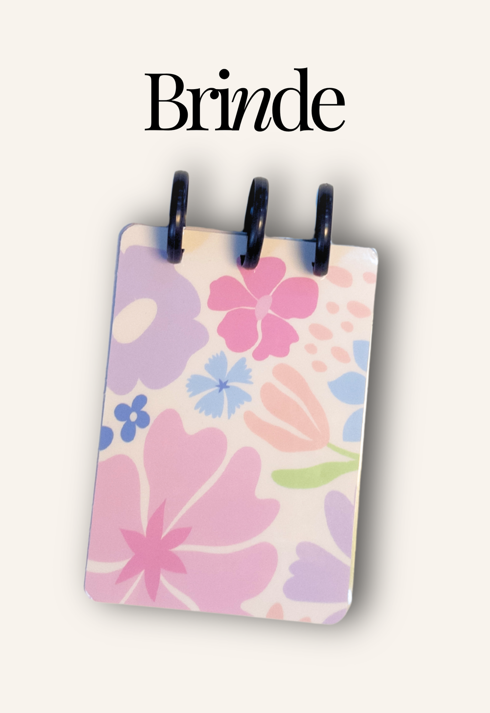 BRINDE - Capa e Contracapa + Discos [Pocket]