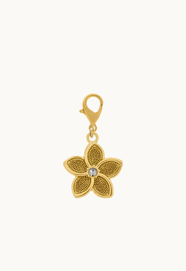 Charm para Elástico