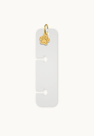 Charm Para Disco