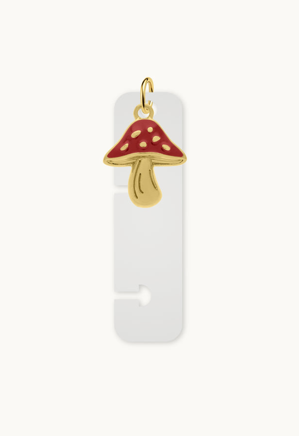 Charm Para Disco
