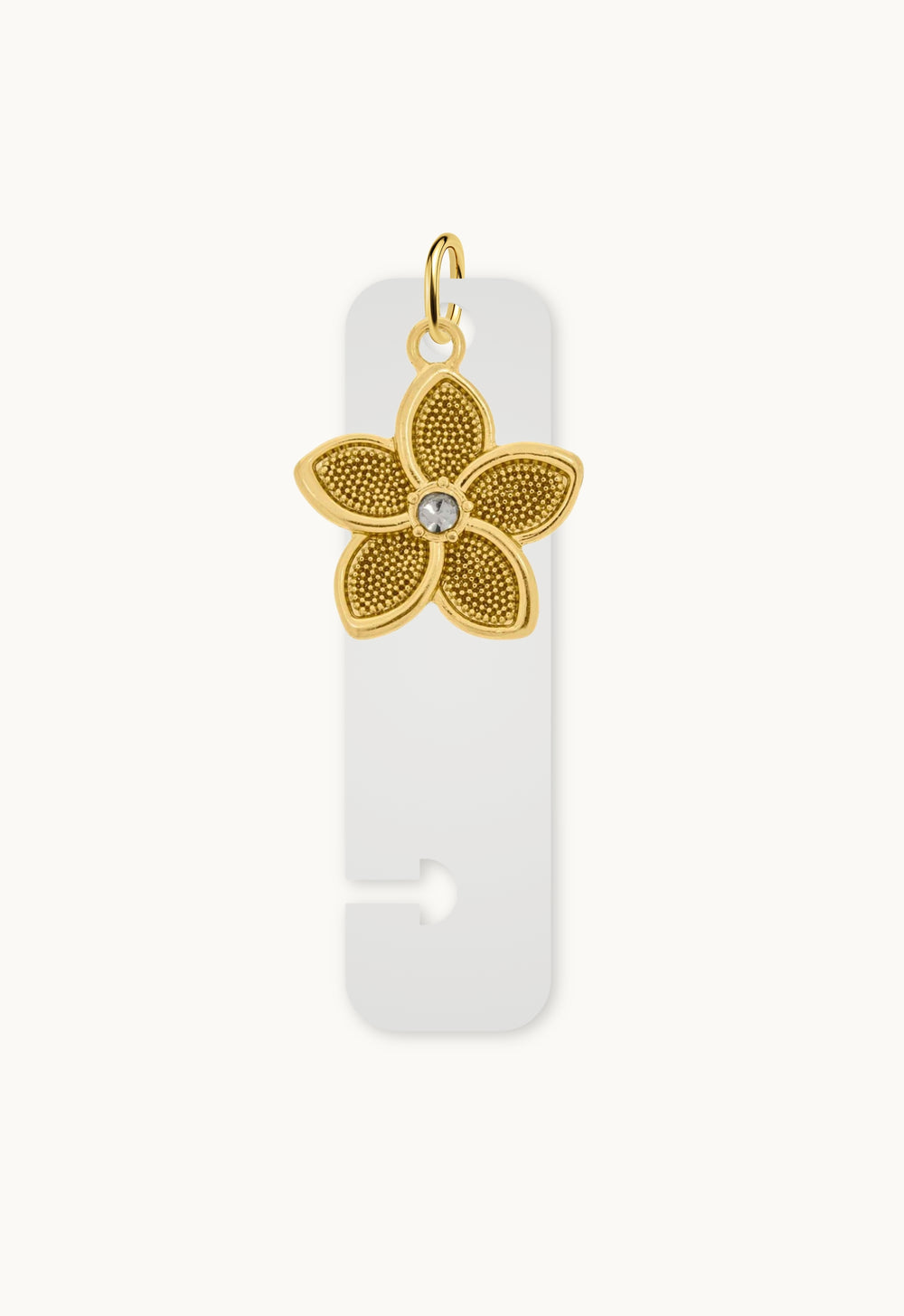 Charm Para Disco
