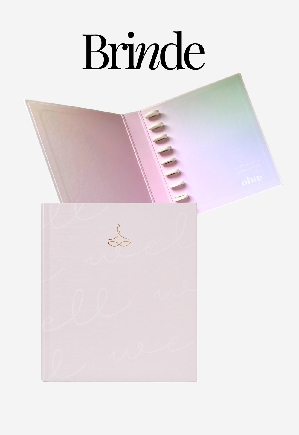 [BRINDE] Capa Arquivo