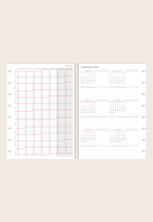 Módulo Planner Semestral