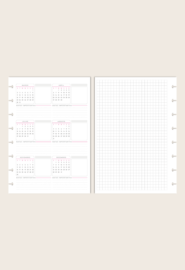 Módulo Planner Semestral