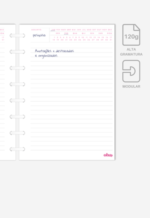 Miolo - Notas Executivas