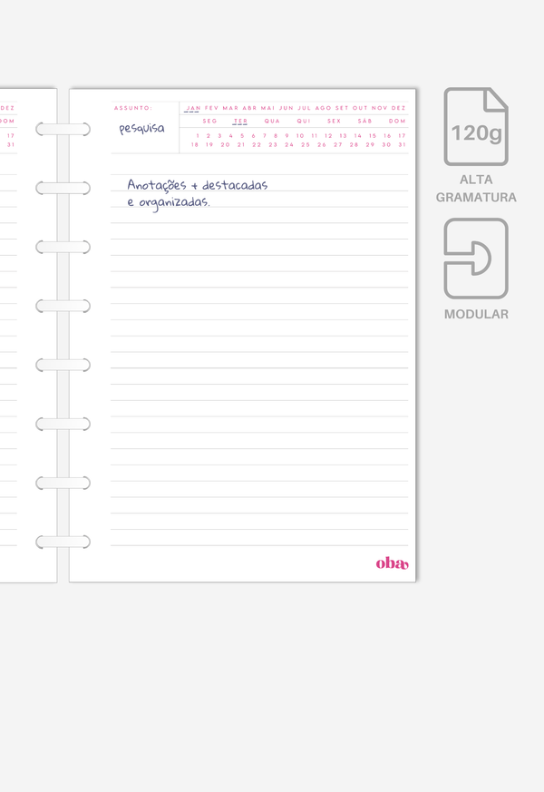 Miolo - Notas Executivas