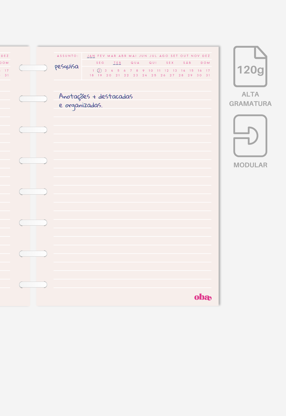 Miolo - Notas Executivas