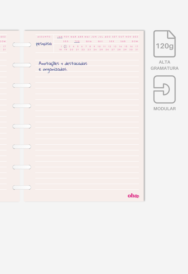 Miolo - Notas Executivas