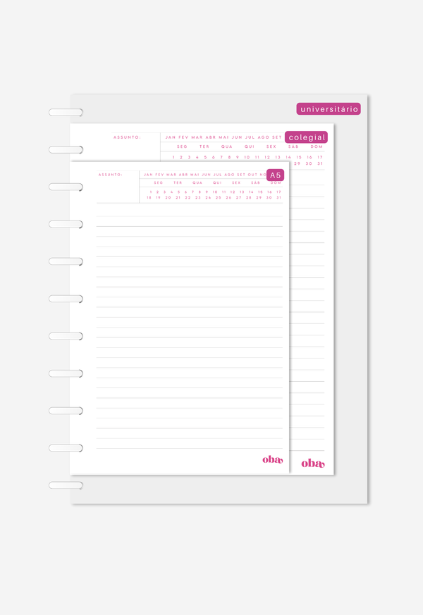 Miolo - Notas Executivas