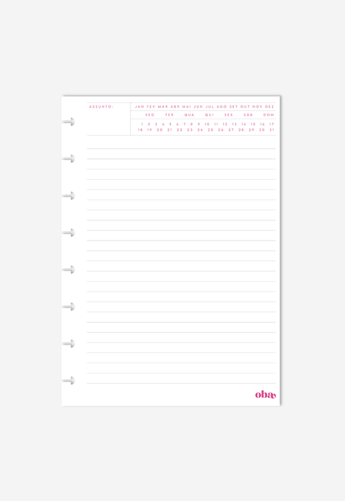 Miolo - Notas Executivas