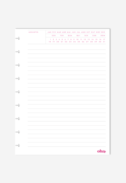 Miolo - Notas Executivas