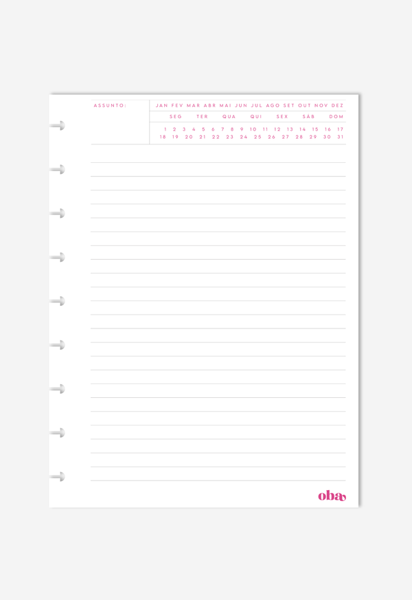 Miolo - Notas Executivas