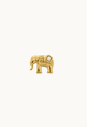 #Elefante