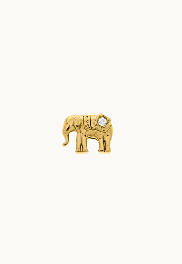 #Elefante