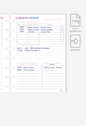 Miolo - Plano de Estudos 2.0