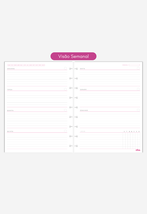 Miolo - Refil de Planner (6 MESES)