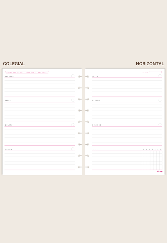 Miolo Planner Monte o Seu - Colegial
