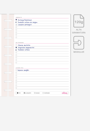 Miolo - Checklist de Prioridades